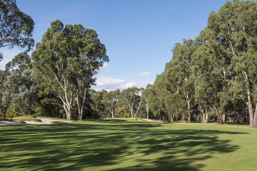 3rd Fairway (Reduced Size)