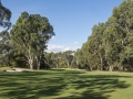 3rd Fairway (Reduced Size)