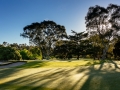 Kew Golf Club Stills Dec 2018-11